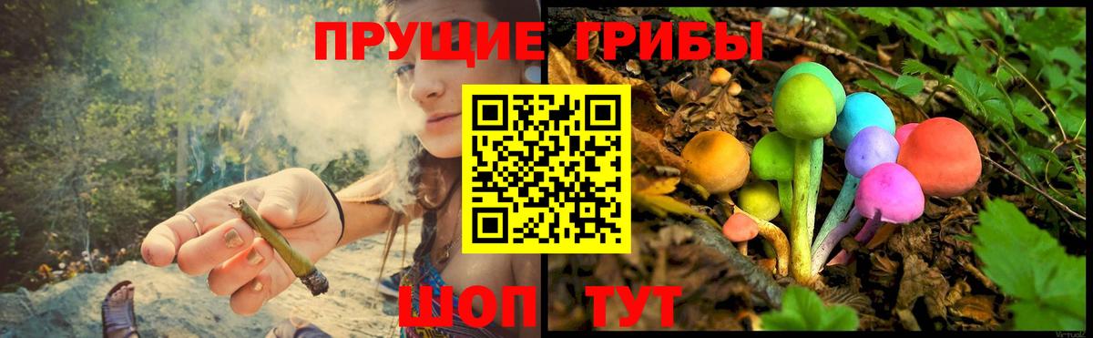 Ярославль  даркнет сайт  Псилоцибиновые грибы прущие грибы  Вход с VPN  Галлюциногенные грибы MAGIC MUSHROOMS 